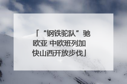 “钢铁驼队”驰欧亚 中欧班列加快山西开放步伐