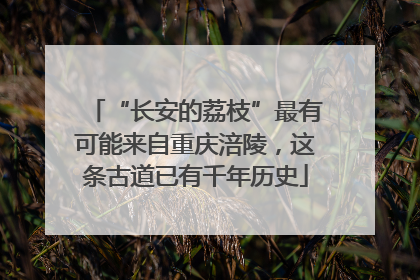 “长安的荔枝”最有可能来自重庆涪陵，这条古道已有千年历史