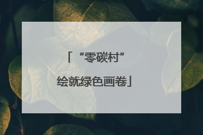 “零碳村” 绘就绿色画卷