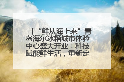 “鲜从海上来”青岛海尔冰箱城市体验中心盛大开业：科技赋能鲜生活，重新定义全球饮食未来
