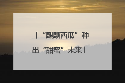 “麒麟西瓜”种出“甜蜜”未来