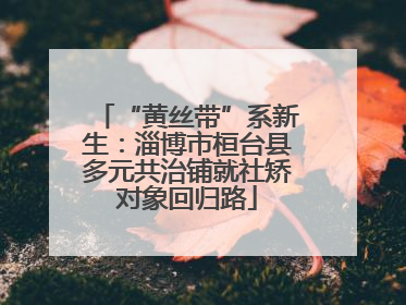 “黄丝带”系新生：淄博市桓台县多元共治铺就社矫对象回归路