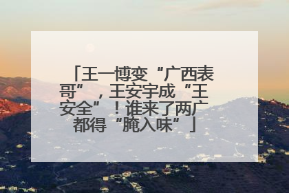 王一博变“广西表哥”，王安宇成“王安全”！谁来了两广都得“腌入味”