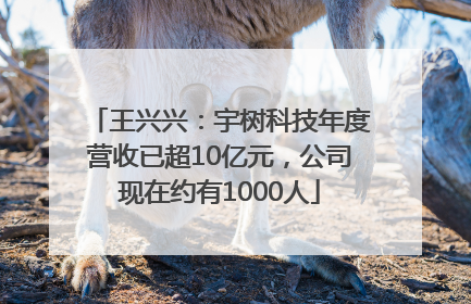 王兴兴：宇树科技年度营收已超10亿元，公司现在约有1000人