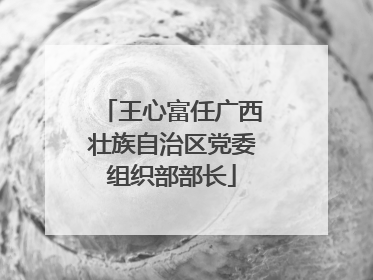 王心富任广西壮族自治区党委组织部部长