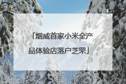 烟威首家小米全产品体验店落户芝罘