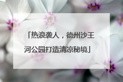 热浪袭人，德州沙王河公园打造清凉秘境