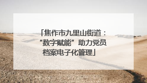 焦作市九里山街道：“数字赋能”助力党员档案电子化管理