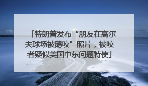 特朗普发布“朋友在高尔夫球场被鹅咬”照片，被咬者疑似美国中东问题特使
