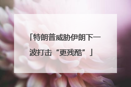 特朗普威胁伊朗下一波打击“更残酷”