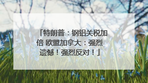 特朗普：钢铝关税加倍 欧盟加拿大：强烈遗憾！强烈反对！