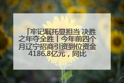 牢记嘱托显担当 决胜之年夺全胜丨今年前四个月辽宁招商引资到位资金4186.8亿元，同比增长17.4%