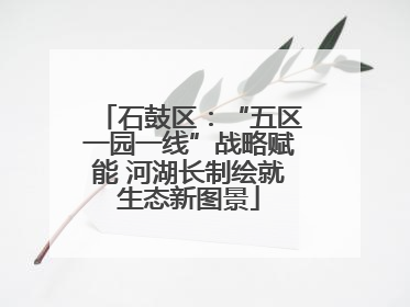 石鼓区：“五区一园一线”战略赋能 河湖长制绘就生态新图景