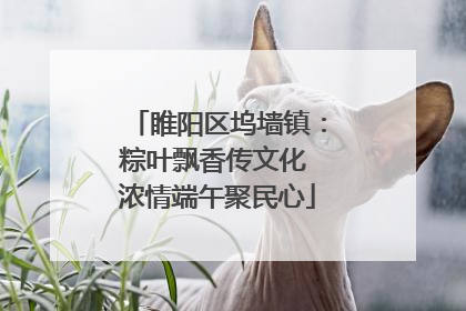 睢阳区坞墙镇：粽叶飘香传文化 浓情端午聚民心