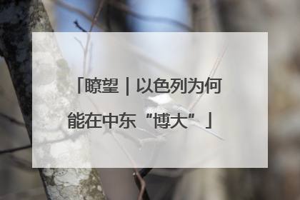 瞭望｜以色列为何能在中东“博大”