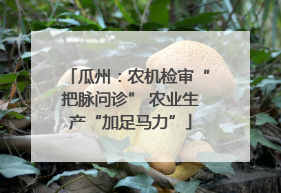 瓜州：农机检审“把脉问诊” 农业生产“加足马力”