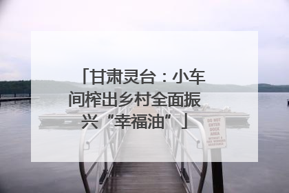甘肃灵台：小车间榨出乡村全面振兴“幸福油”