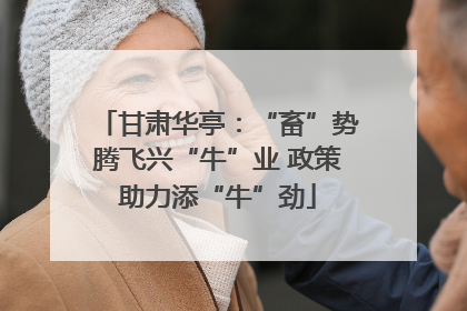 甘肃华亭：“畜”势腾飞兴“牛”业 政策助力添“牛”劲