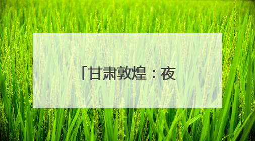 甘肃敦煌：夜市焕新释放文旅消费潜力