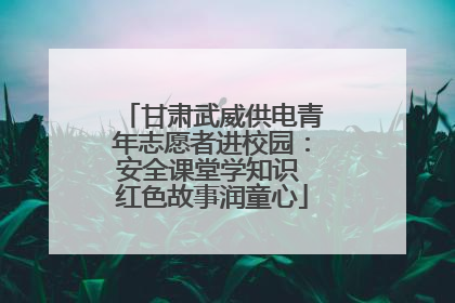 甘肃武威供电青年志愿者进校园：安全课堂学知识 红色故事润童心