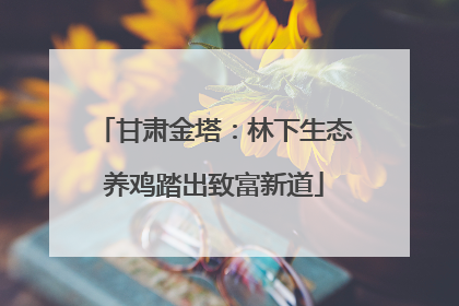 甘肃金塔：林下生态养鸡踏出致富新道