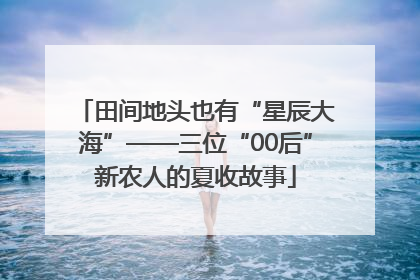 田间地头也有“星辰大海”——三位“00后”新农人的夏收故事