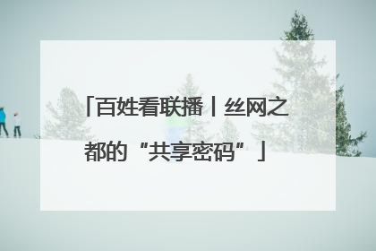 百姓看联播丨丝网之都的“共享密码”