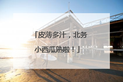 皮薄多汁，北务小西瓜熟啦！