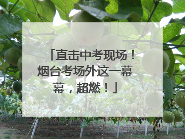 直击中考现场！烟台考场外这一幕幕，超燃！