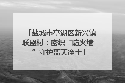 盐城市亭湖区新兴镇联盟村：密织“防火墙”守护蓝天净土