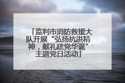 监利市消防救援大队开展“弘扬抗洪精神，献礼建党华诞”主题党日活动