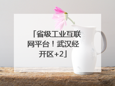 省级工业互联网平台！武汉经开区+2