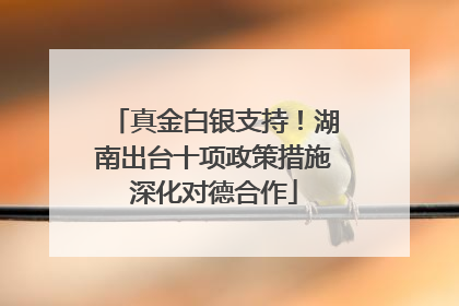 真金白银支持！湖南出台十项政策措施深化对德合作