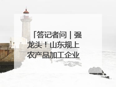 答记者问｜强龙头！山东规上农产品加工企业数量、年营收均居全国首位