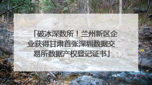 破冰深数所！兰州新区企业获得甘肃首张深圳数据交易所数据产权登记证书