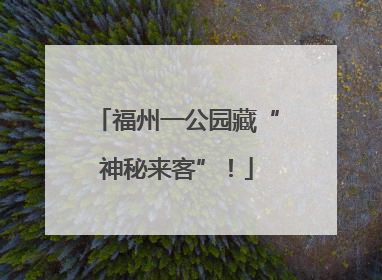 福州一公园藏“神秘来客”！