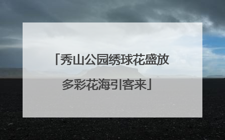 秀山公园绣球花盛放 多彩花海引客来