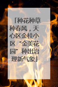 种花种草种春风，天心区金桂小区“金美花园”种出治理新气象