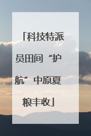 科技特派员田间“护航”中原夏粮丰收