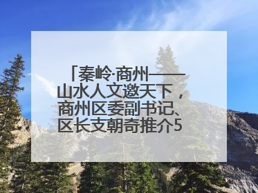 秦岭·商州——山水人文邀天下，商州区委副书记、区长支朝奇推介5个重点招商项目