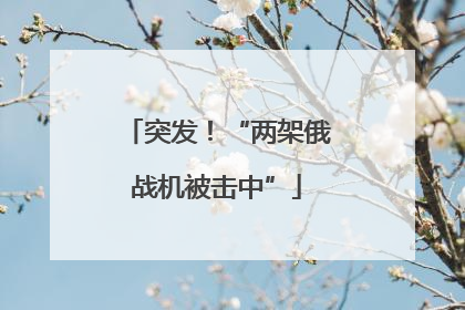 突发！“两架俄战机被击中”