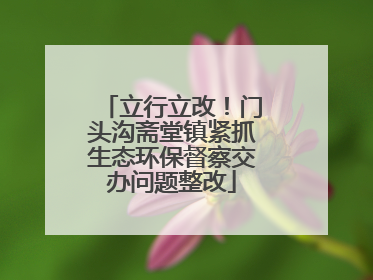 立行立改！门头沟斋堂镇紧抓生态环保督察交办问题整改