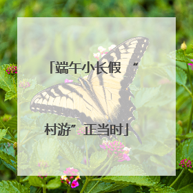 端午小长假 “村游”正当时