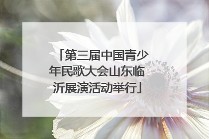 第三届中国青少年民歌大会山东临沂展演活动举行