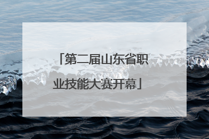 第二届山东省职业技能大赛开幕