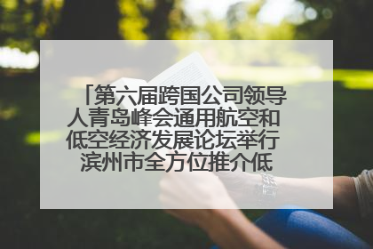 第六届跨国公司领导人青岛峰会通用航空和低空经济发展论坛举行 滨州市全方位推介低空经济发展优势