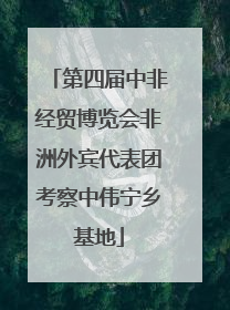 第四届中非经贸博览会非洲外宾代表团考察中伟宁乡基地