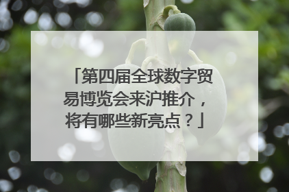 第四届全球数字贸易博览会来沪推介，将有哪些新亮点？