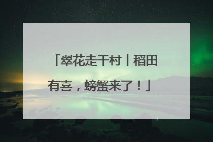 翠花走千村丨稻田有喜，螃蟹来了！