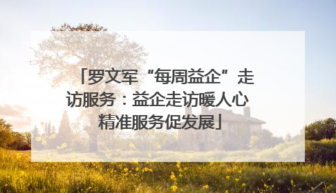 罗文军“每周益企”走访服务：益企走访暖人心 精准服务促发展